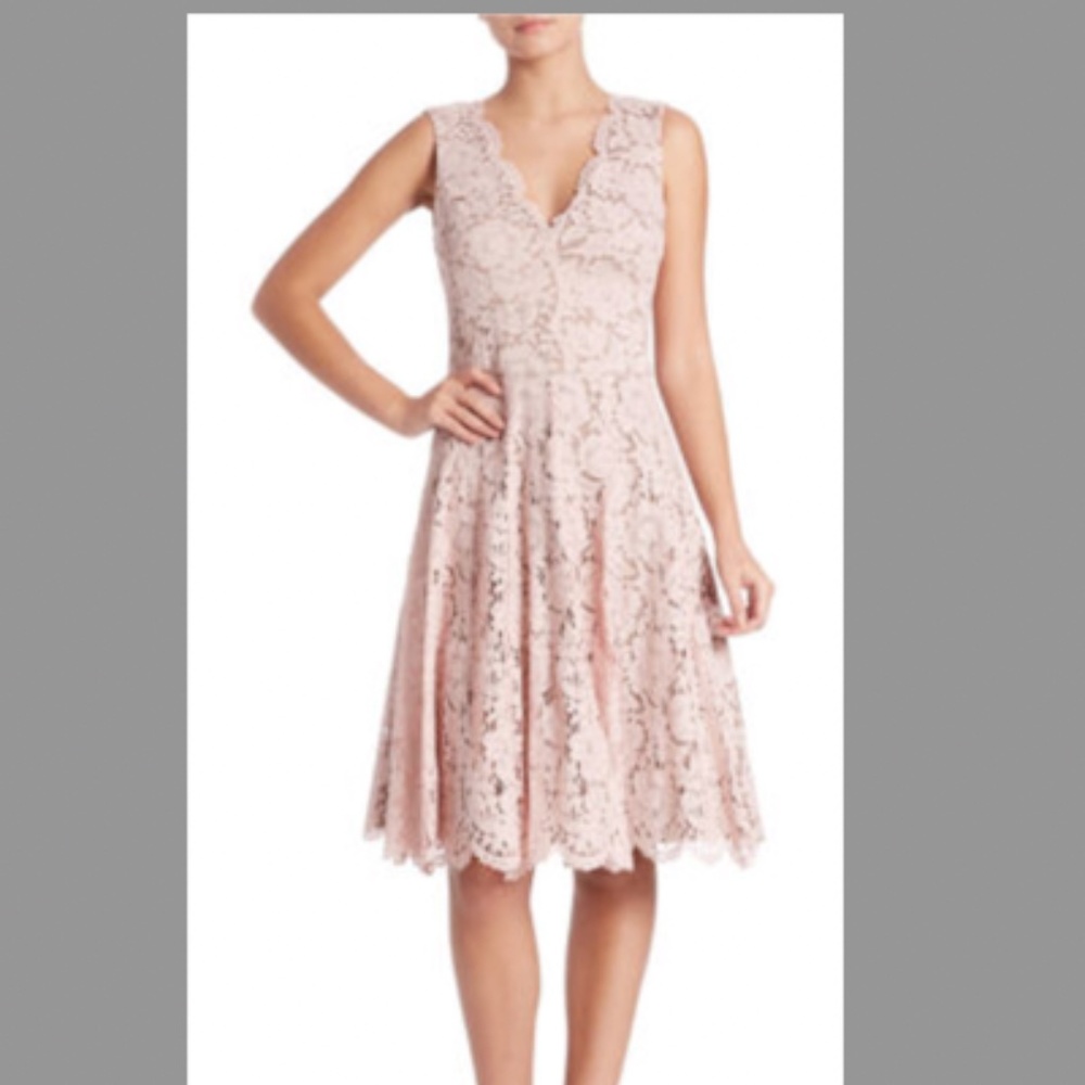 VERA WANG 'SCARLET' LACE A-LINE V-NECK Sz 4